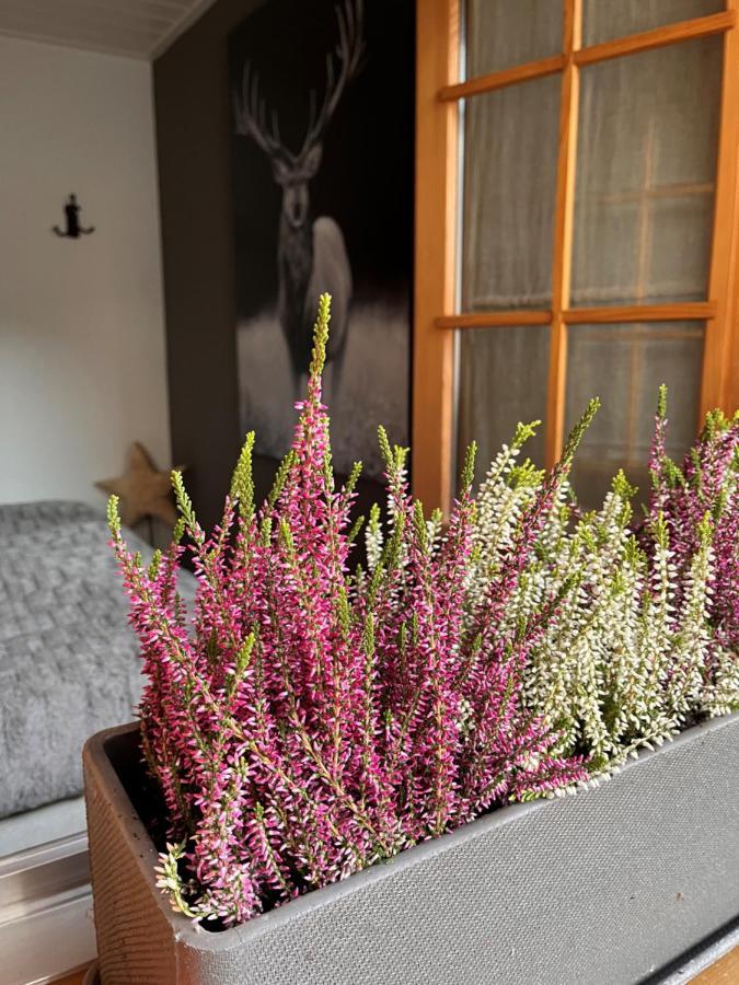 Chalet Apartment Serenity Lodge Charmey Eksteriør bilde